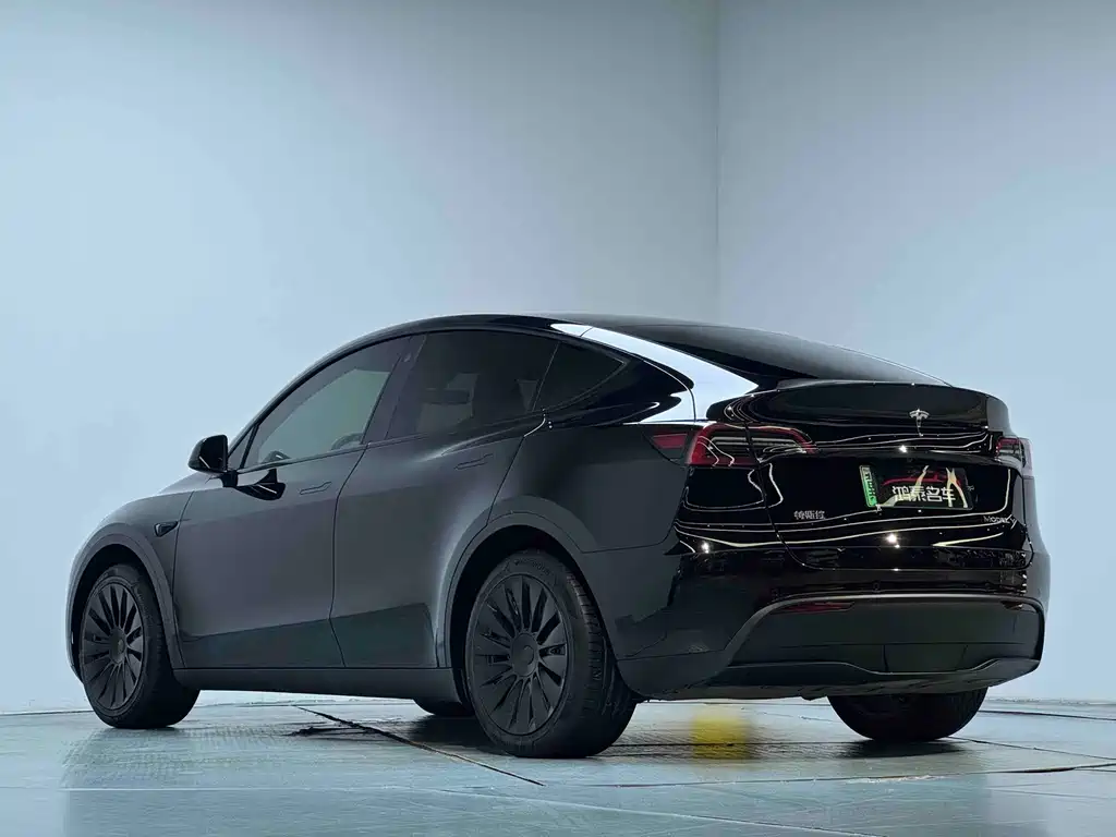 Tesla Model Y — миниатюра 14