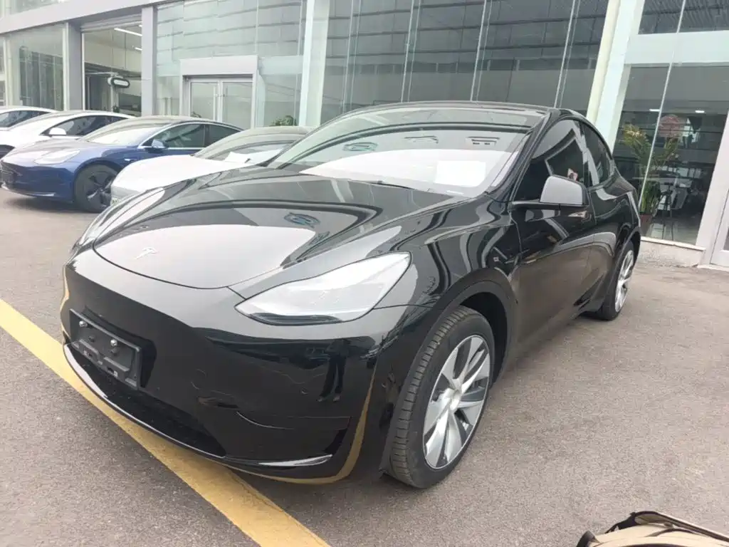 Tesla Model Y — миниатюра 2