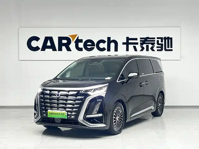 2024 Denza D9