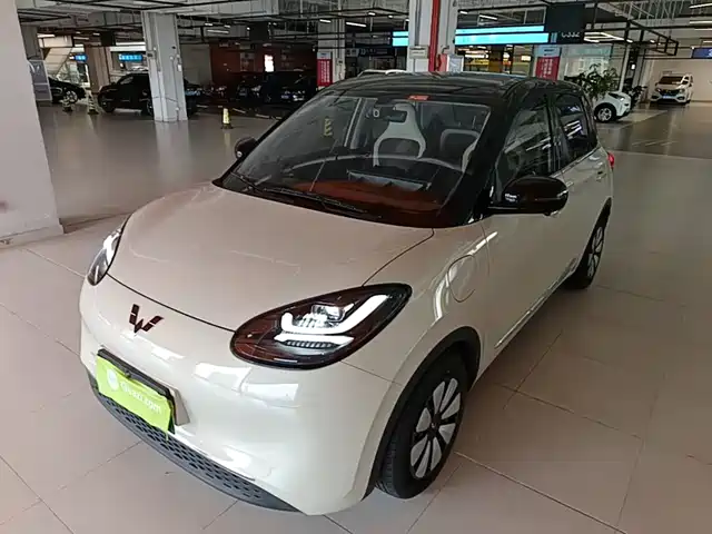 2024 Wuling Motors Binguo