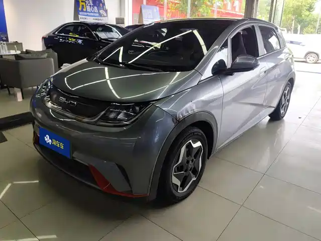 2022 BYD Dolphin