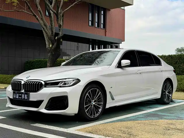 BMW 5 SERIES