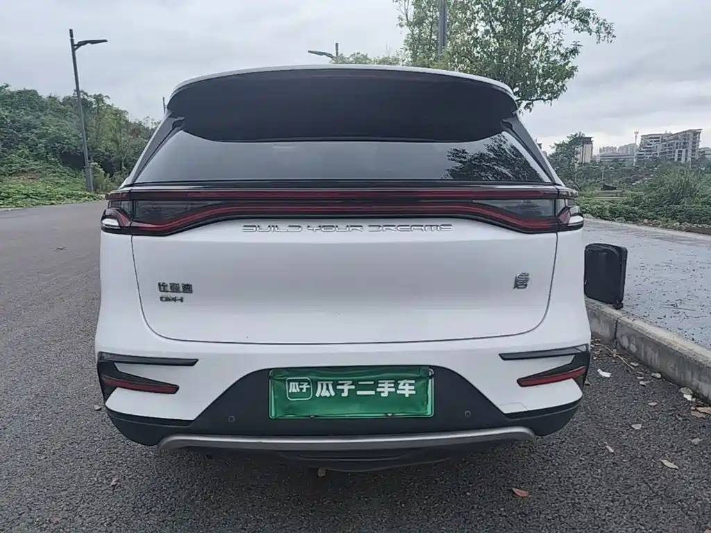 BYD Tang New Energy — миниатюра 6