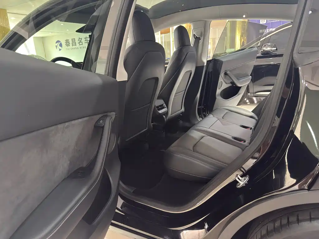 Tesla Model Y — миниатюра 9