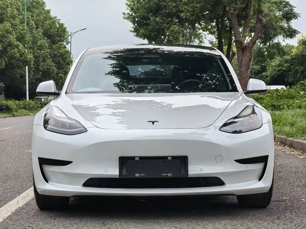 Tesla Model 3 — миниатюра 3