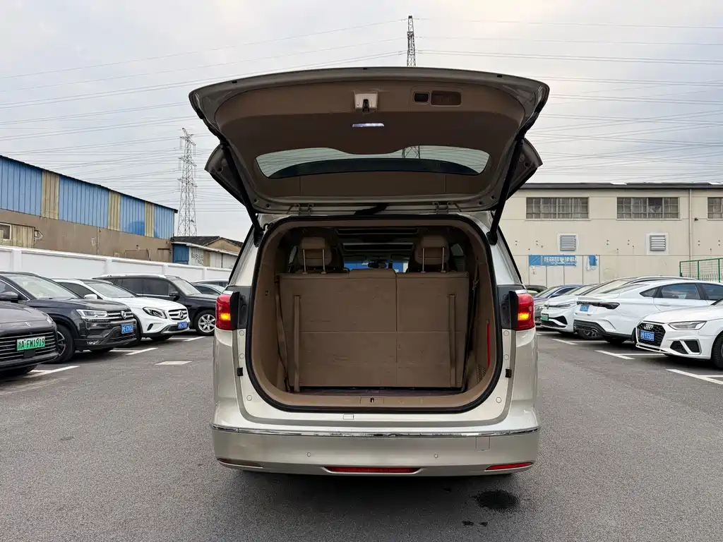 Buick GL8 — миниатюра 25