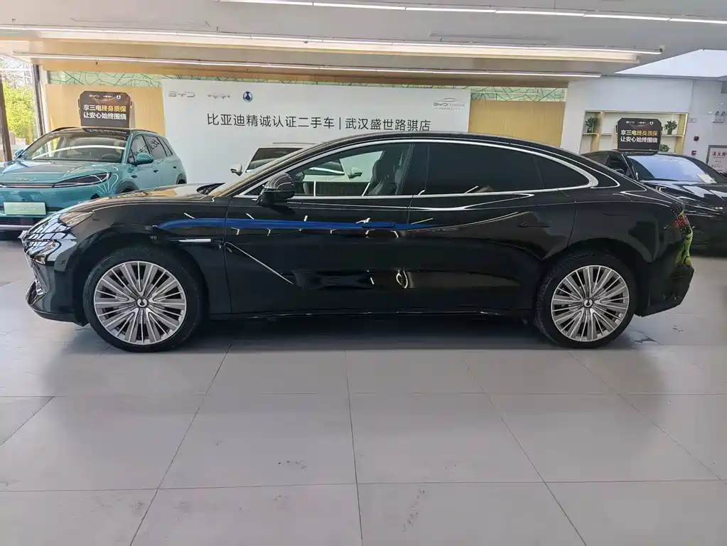 Denza Denza Z9 — миниатюра 3