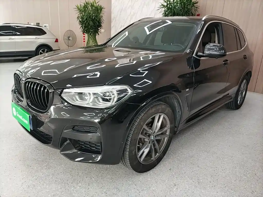 BMW X3 — миниатюра 2