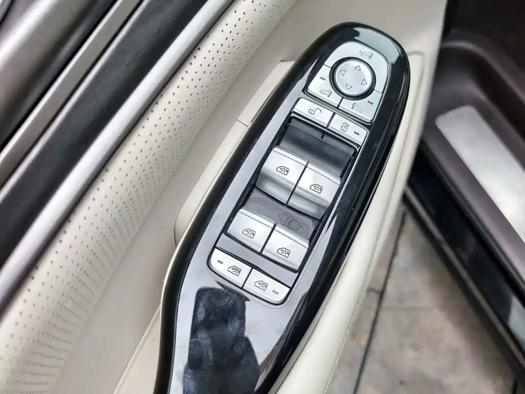 Denza Denza D9 — миниатюра 10