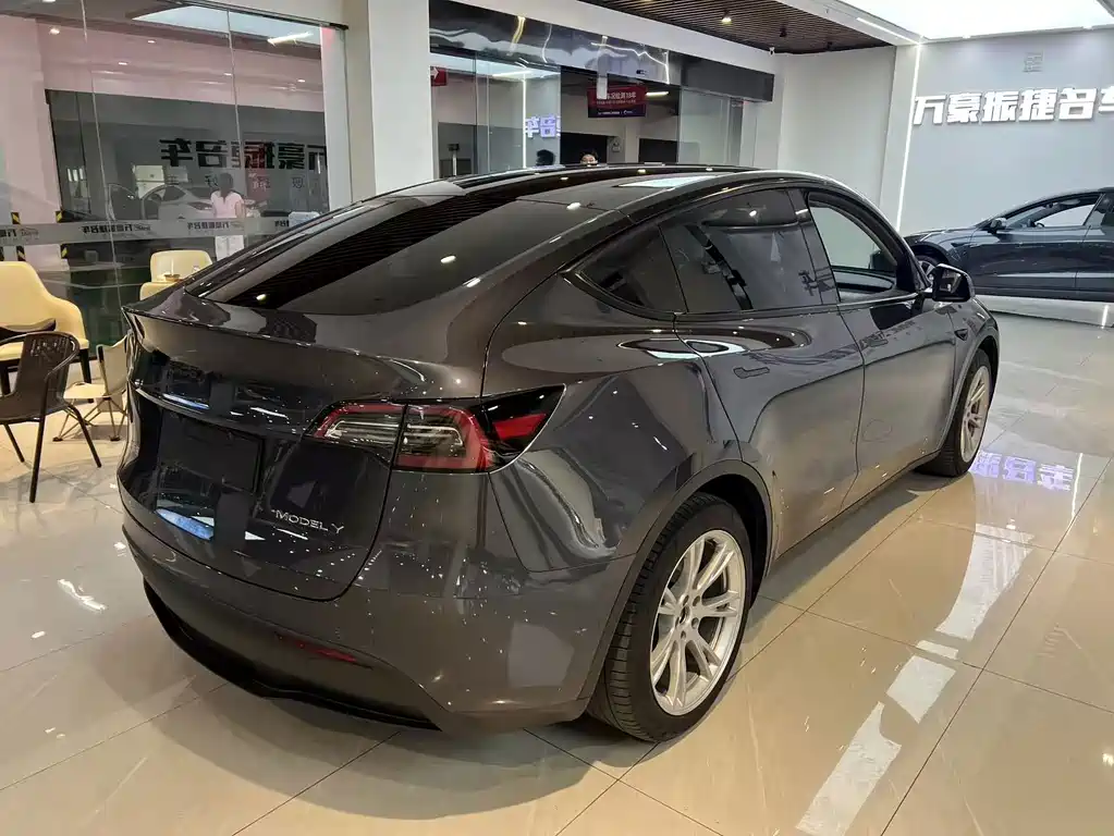 Tesla Model Y — миниатюра 7