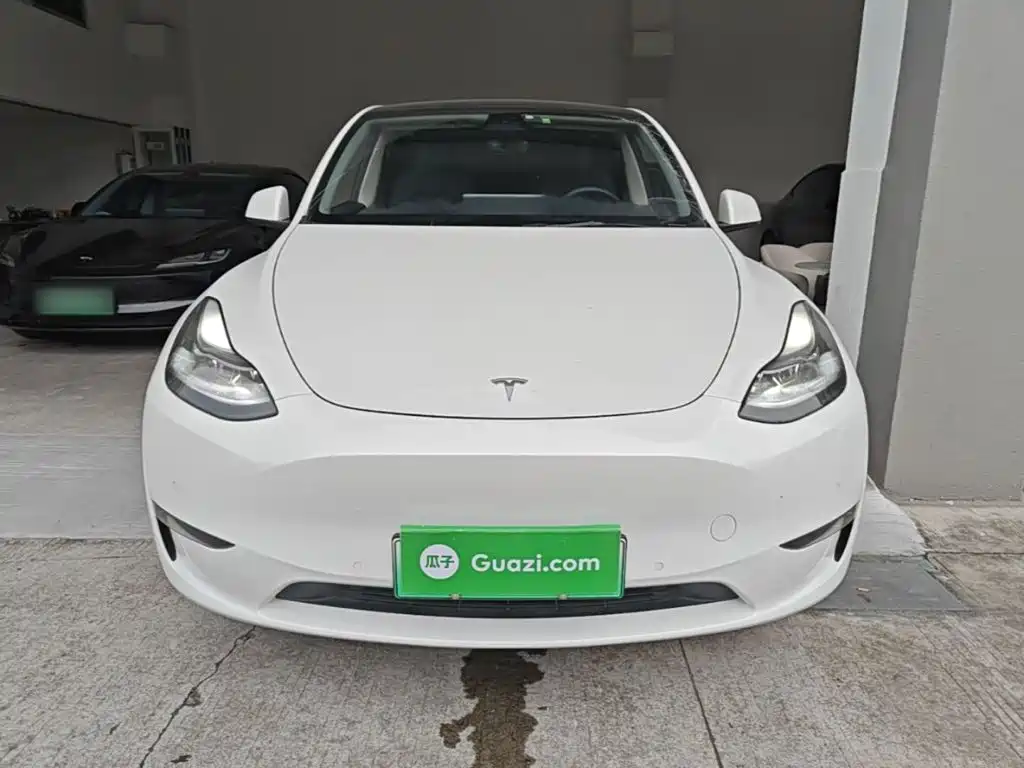Tesla Model Y — миниатюра 3