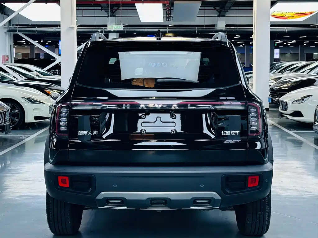 Haval Big Dog — миниатюра 14