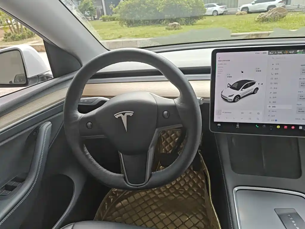 Tesla Model Y — миниатюра 11