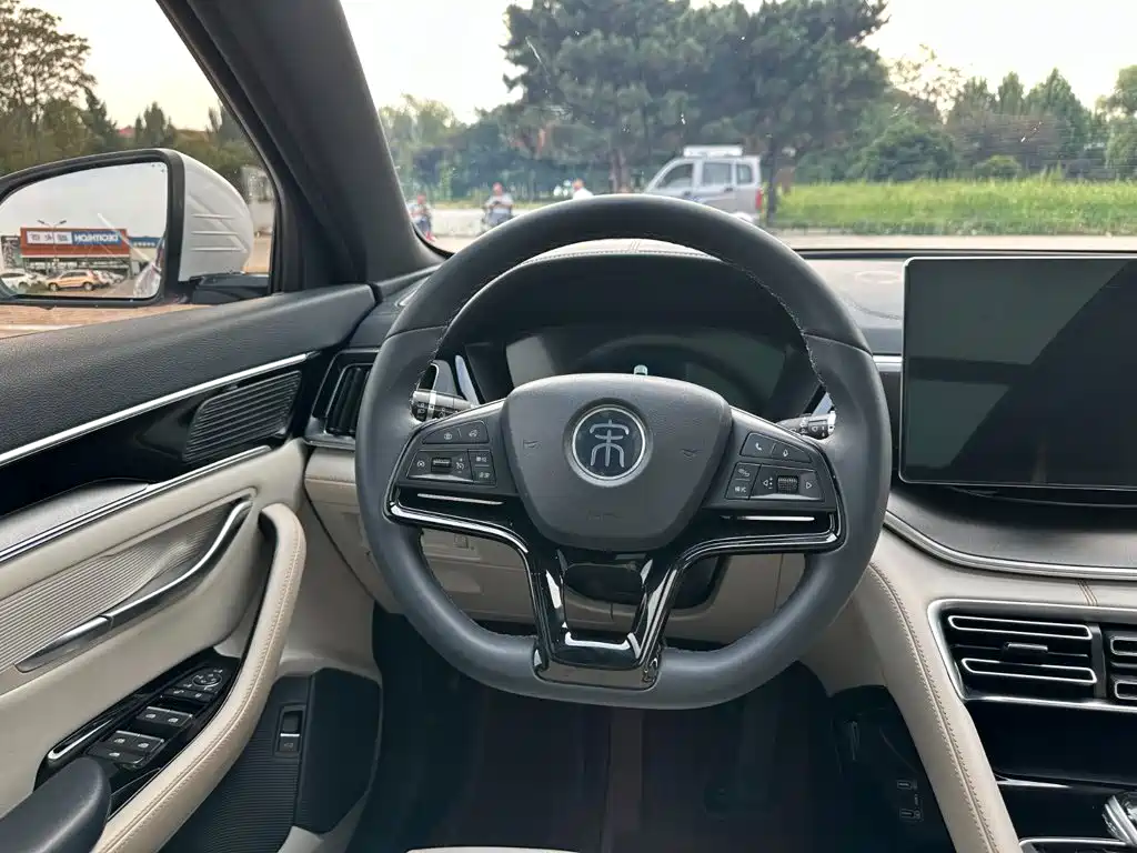 BYD PLUS New Energy — миниатюра 22