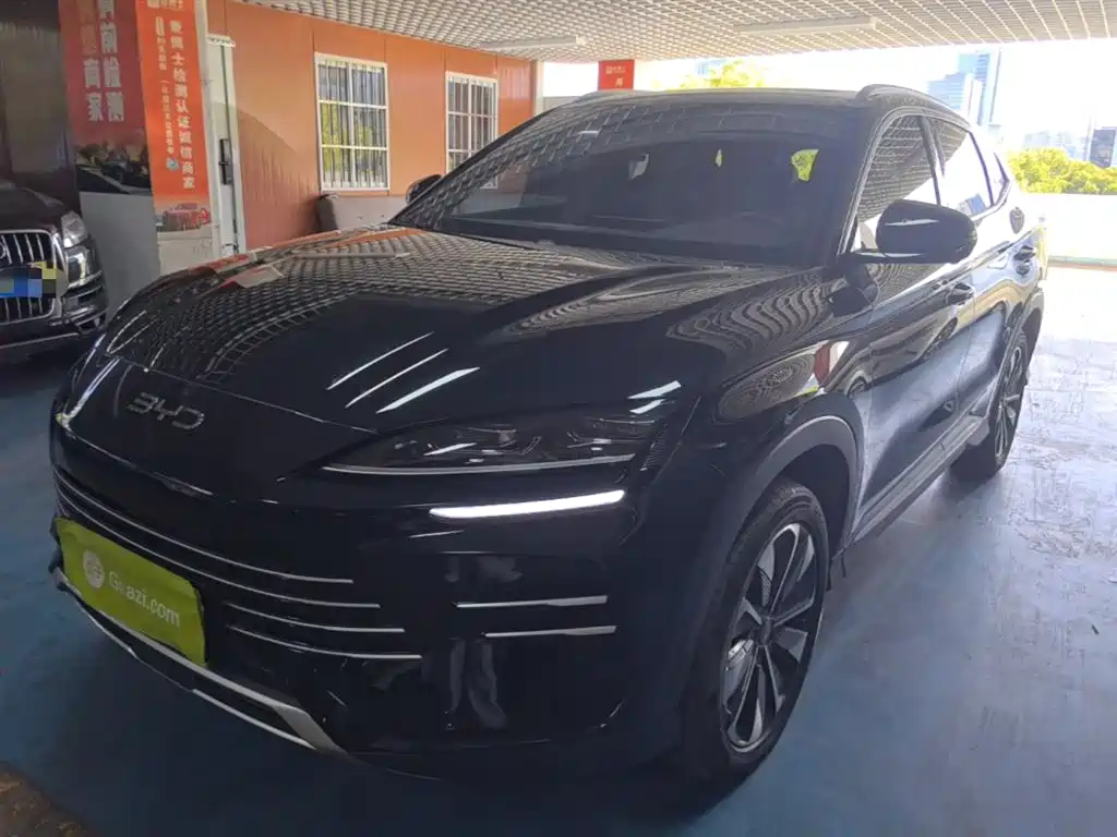 Byd PLUS New Energy 2024
