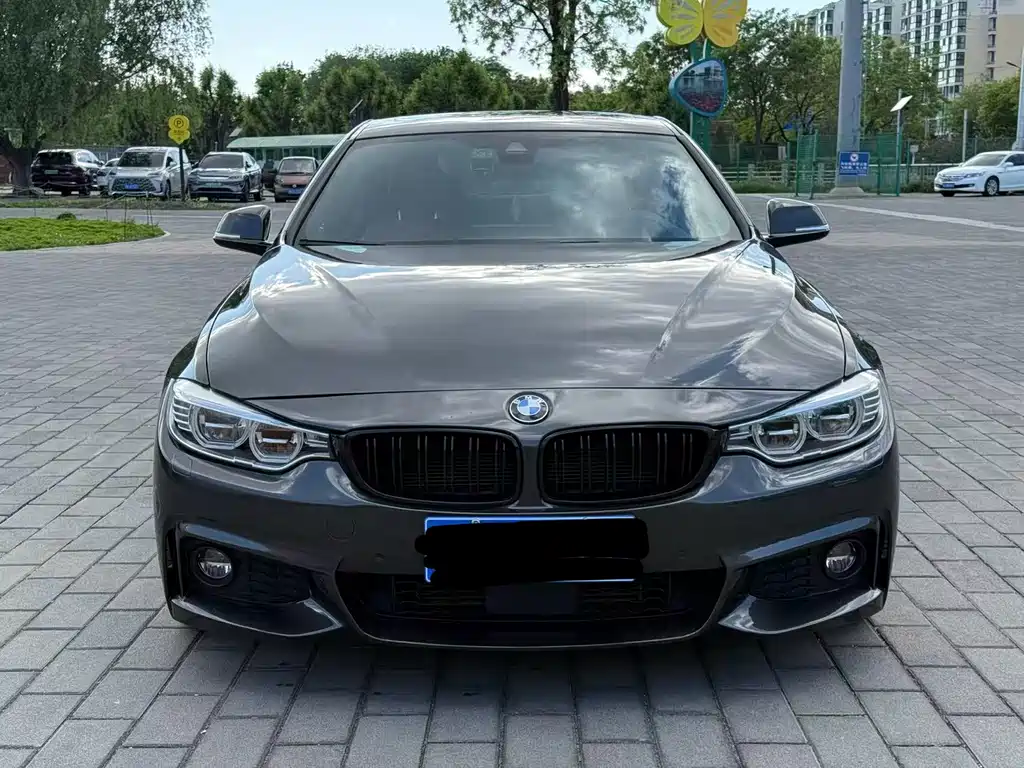 BMW 4 Series — миниатюра 2