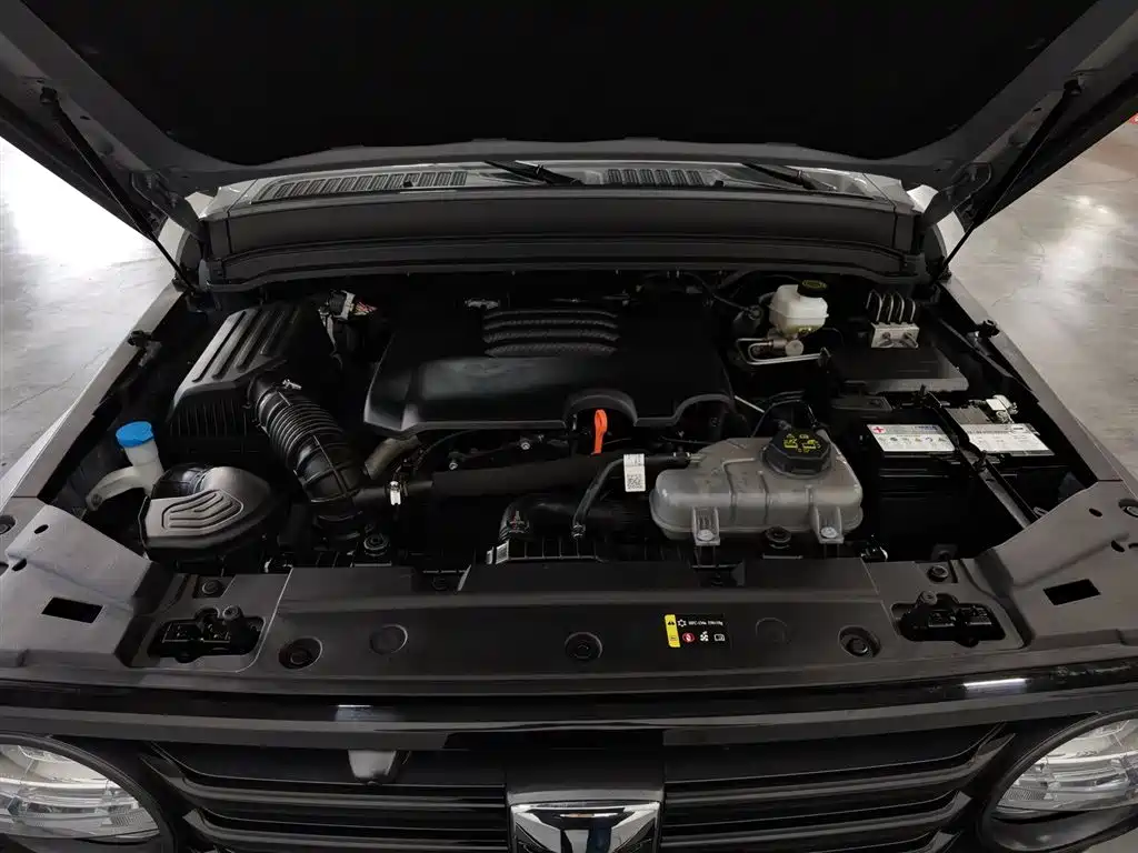 Tank 300 2024 2.0T
