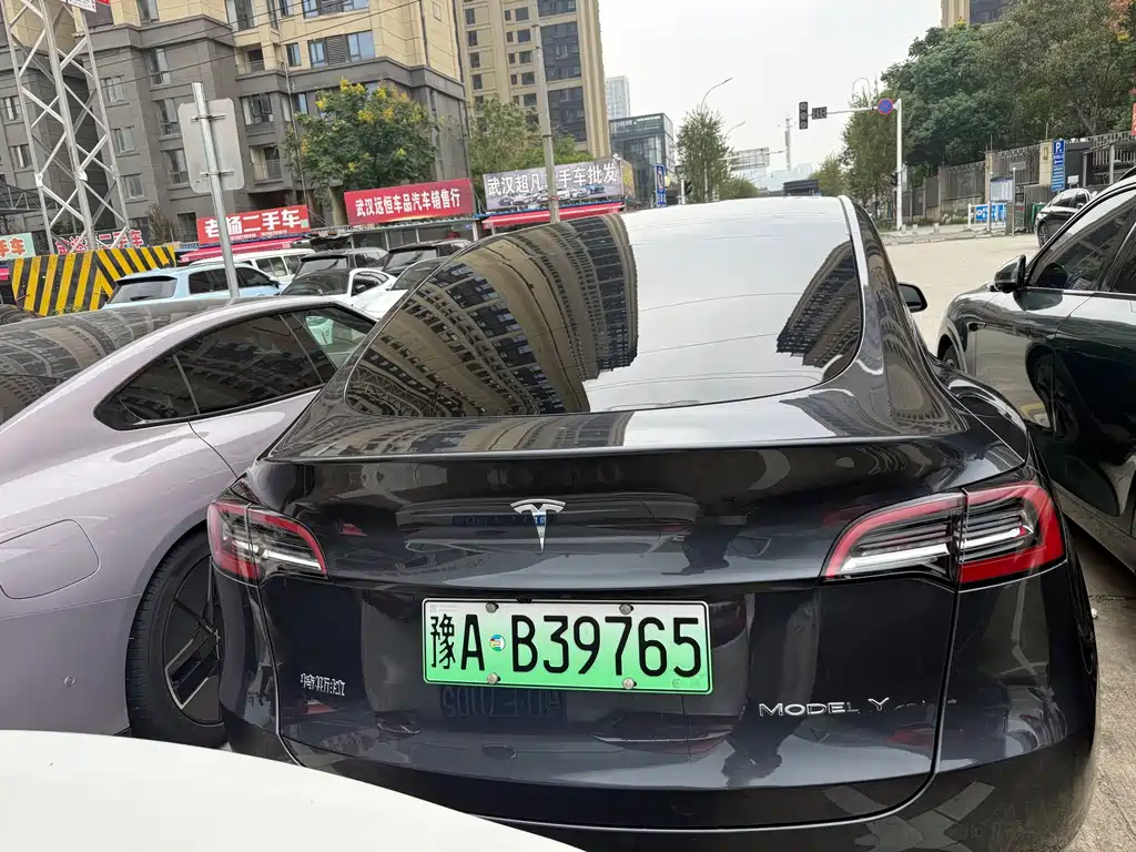 Tesla Model Y — миниатюра 8