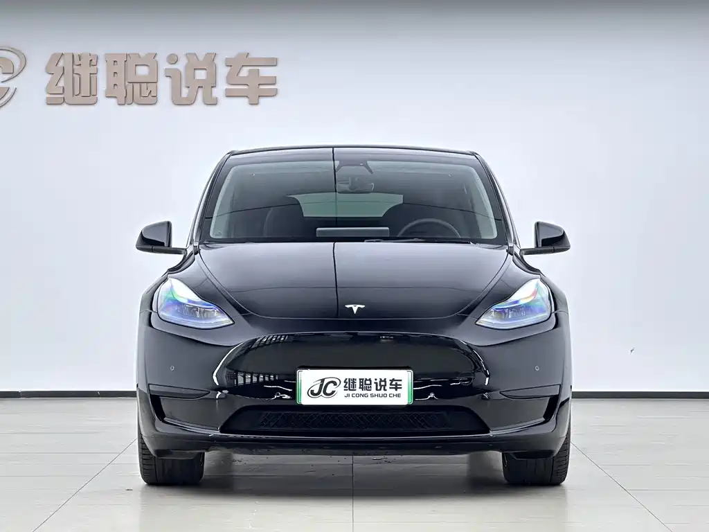 Tesla Model Y — миниатюра 2