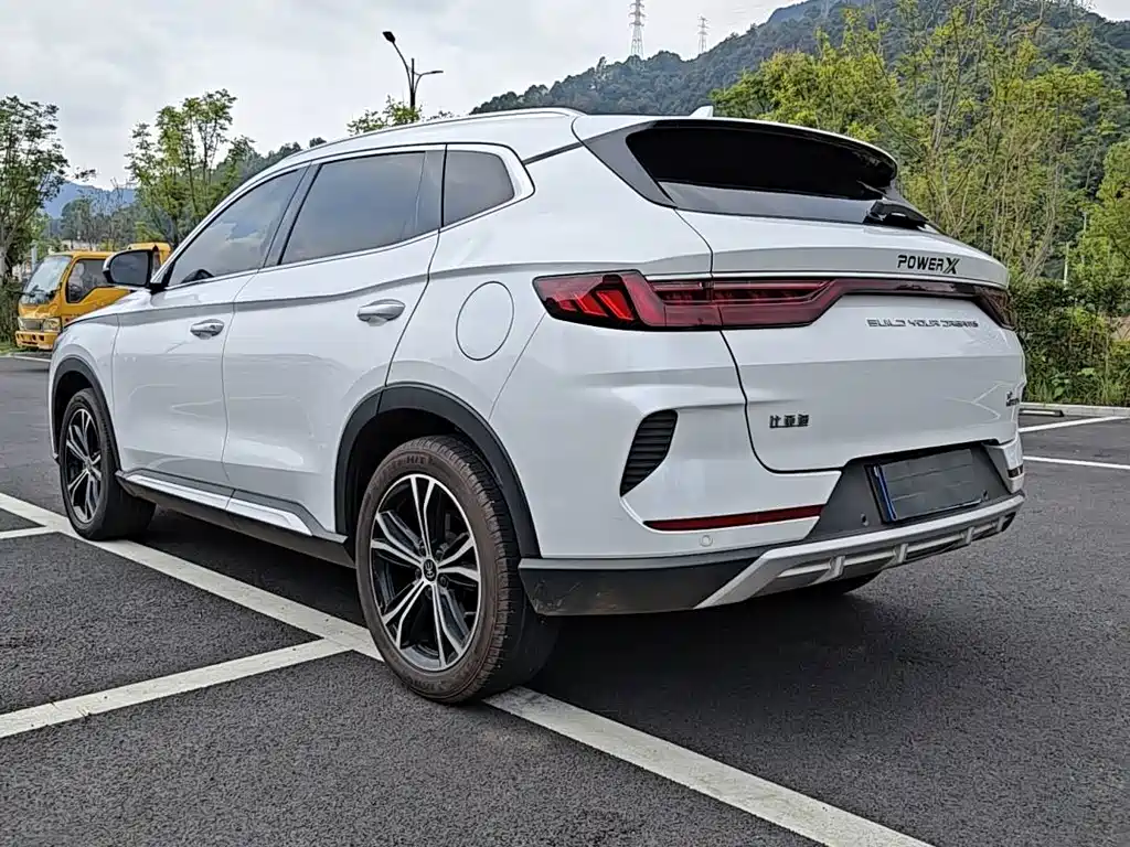 BYD PLUS — миниатюра 14