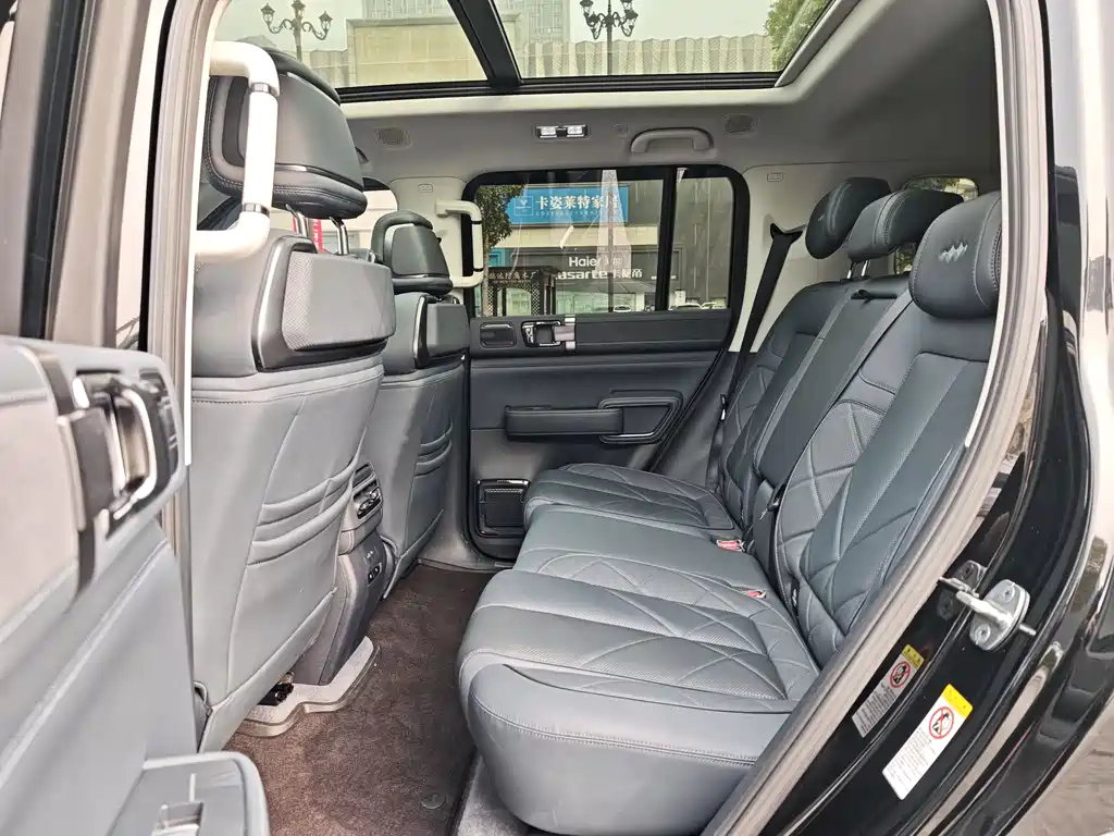 FANG CHENG BAO LEOPARD 5