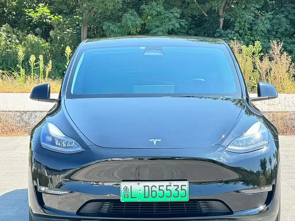 Tesla Model Y — миниатюра 2