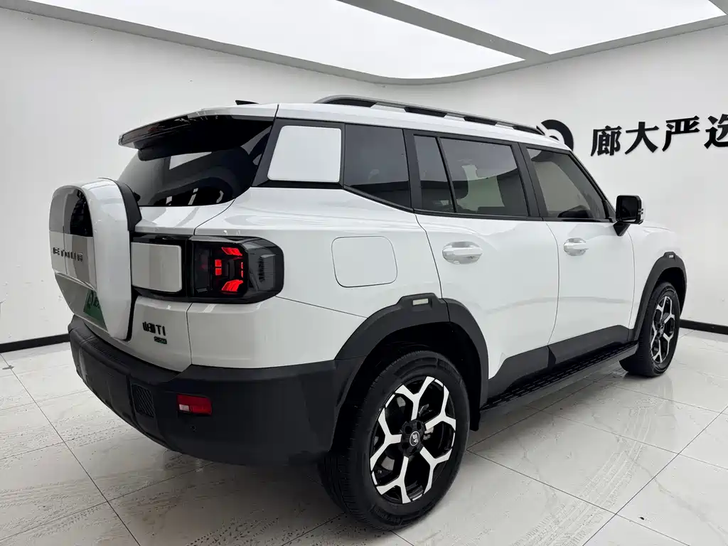 Shanhai Shanhai T1 — миниатюра 6