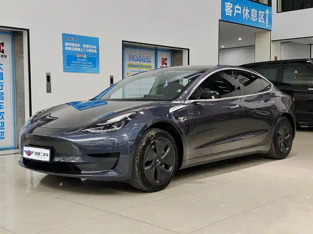 TESLA MODEL 3 2020