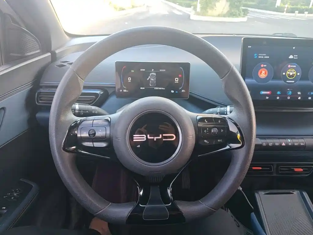 BYD Seagull — миниатюра 11