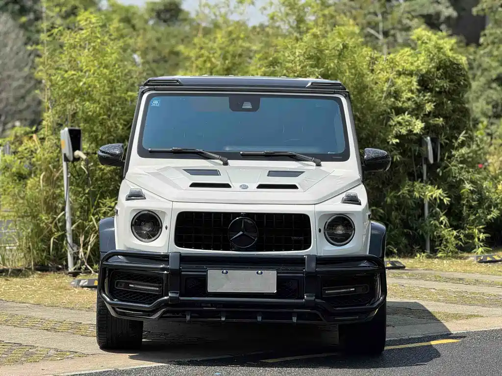 Mercedes-Benz G-Class G 2020 G 500
