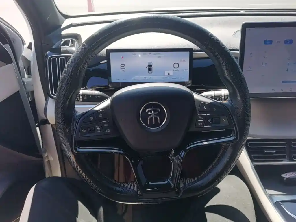 BYD Pro New Energy — миниатюра 11