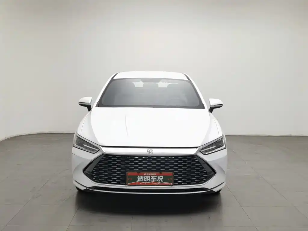 BYD Qin PLUS — миниатюра 3
