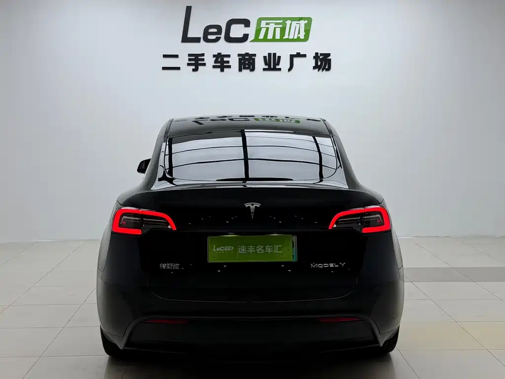Tesla Model Y — миниатюра 5