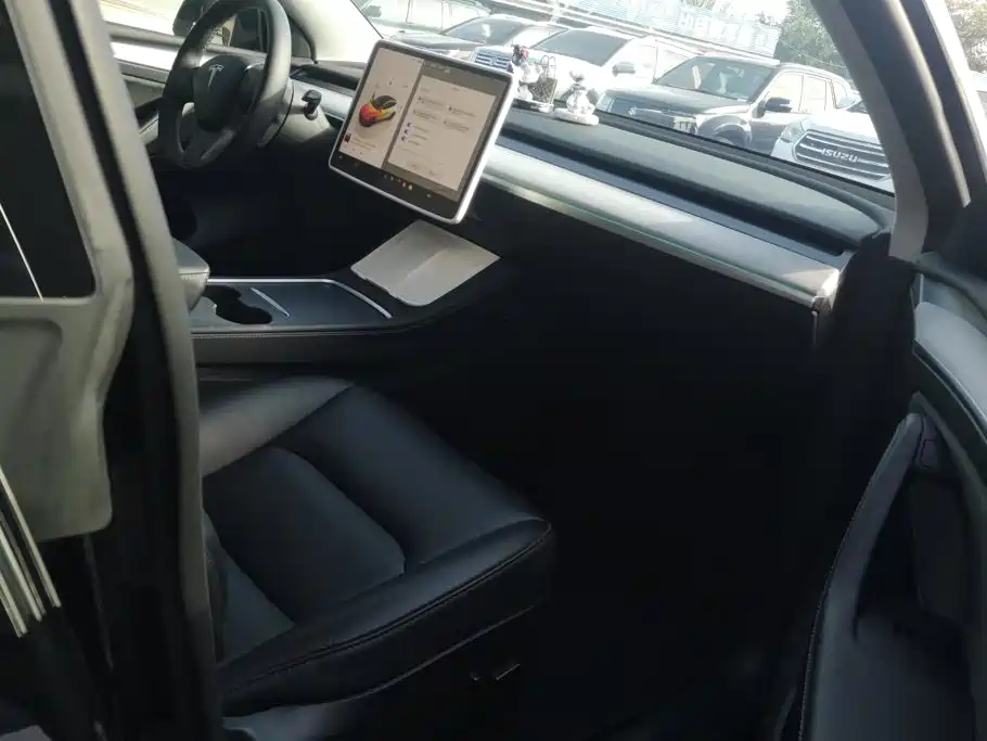 Tesla Model Y — миниатюра 8