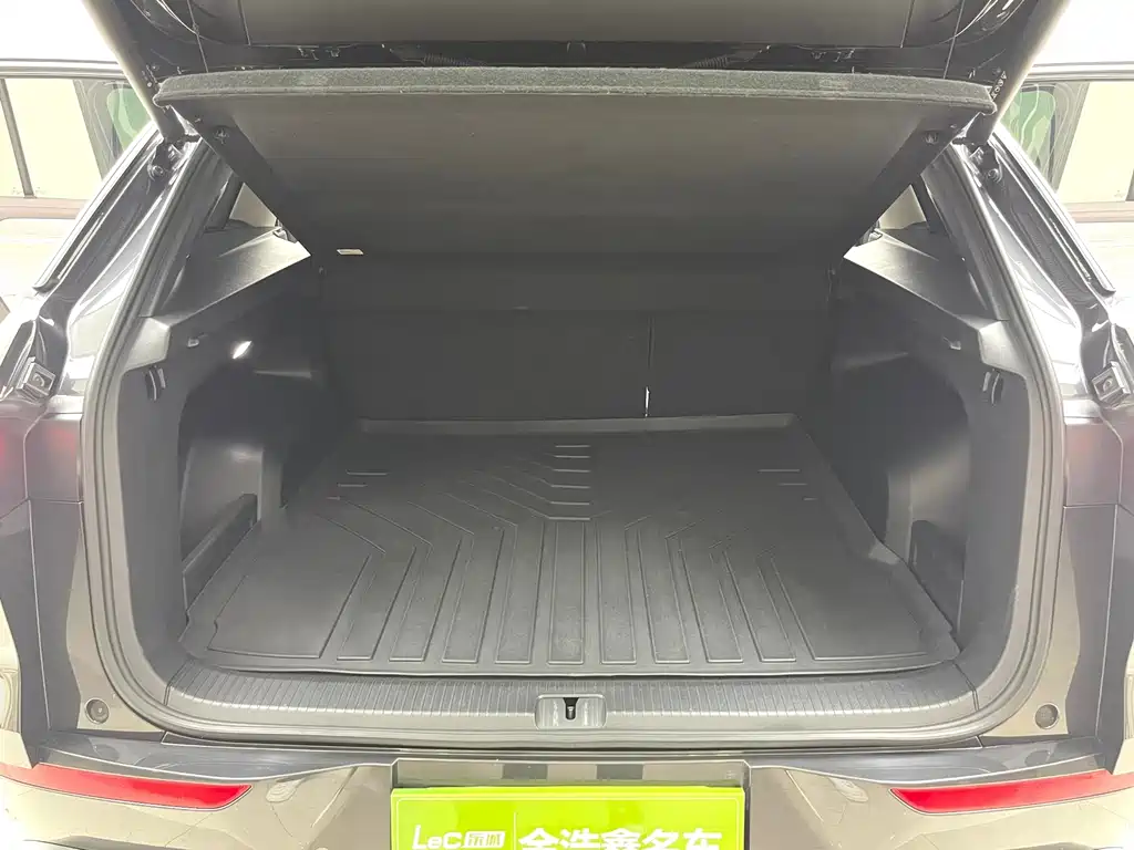 Volkswagen Tavendor 380TSI 4WD R-Line Patrol Ceremony Edition, фото 12