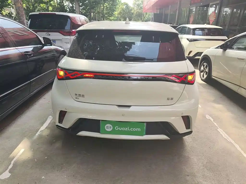 BYD Dolphin 2025 420km Freedom