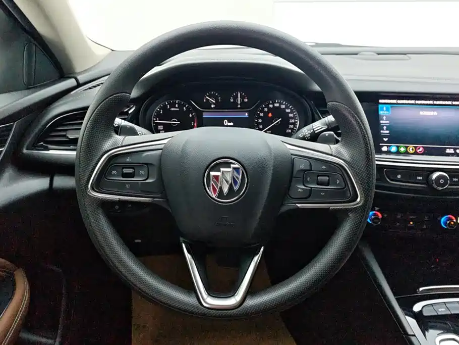 Buick Regal — миниатюра 15