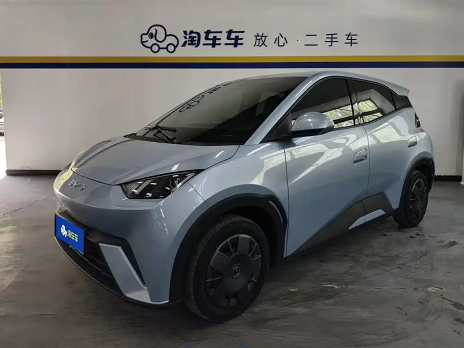Byd Seagull 2024