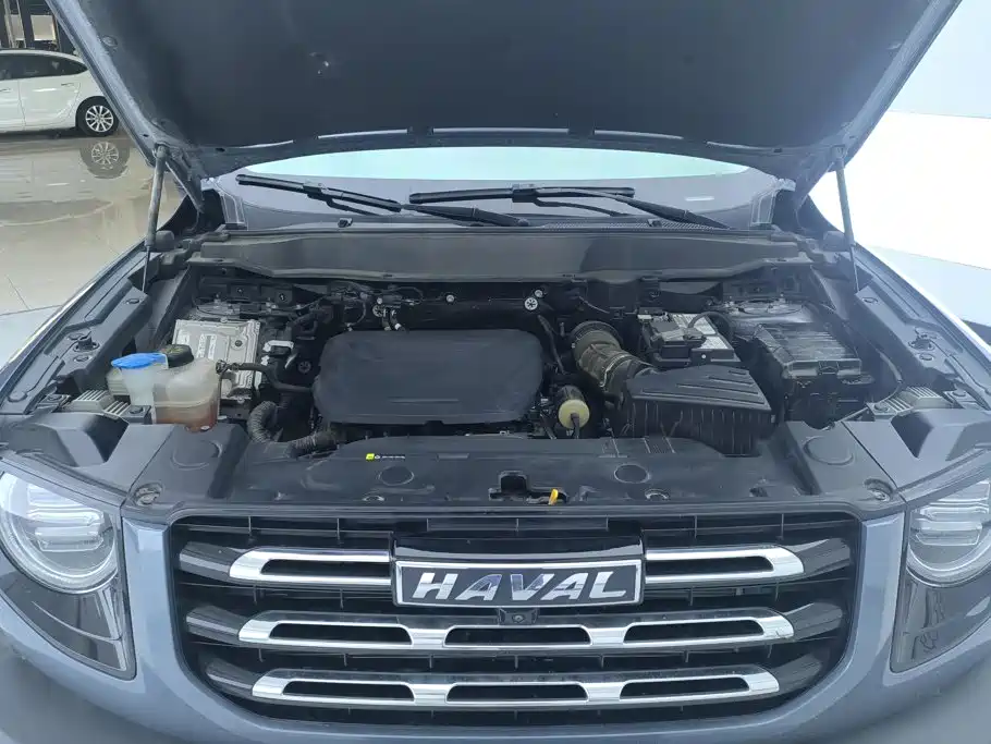 Haval Big Dog — миниатюра 9