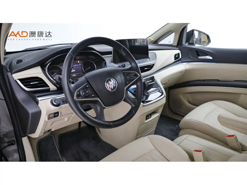 Buick GL8 — миниатюра 6
