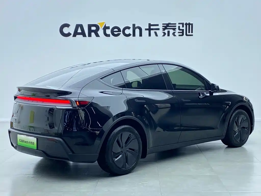 Tesla Model Y — миниатюра 14