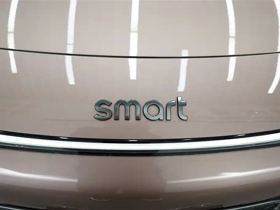 smart Smart #1 — миниатюра 13