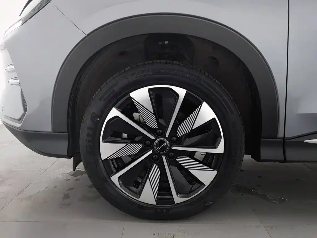BYD PLUS New Energy — миниатюра 17