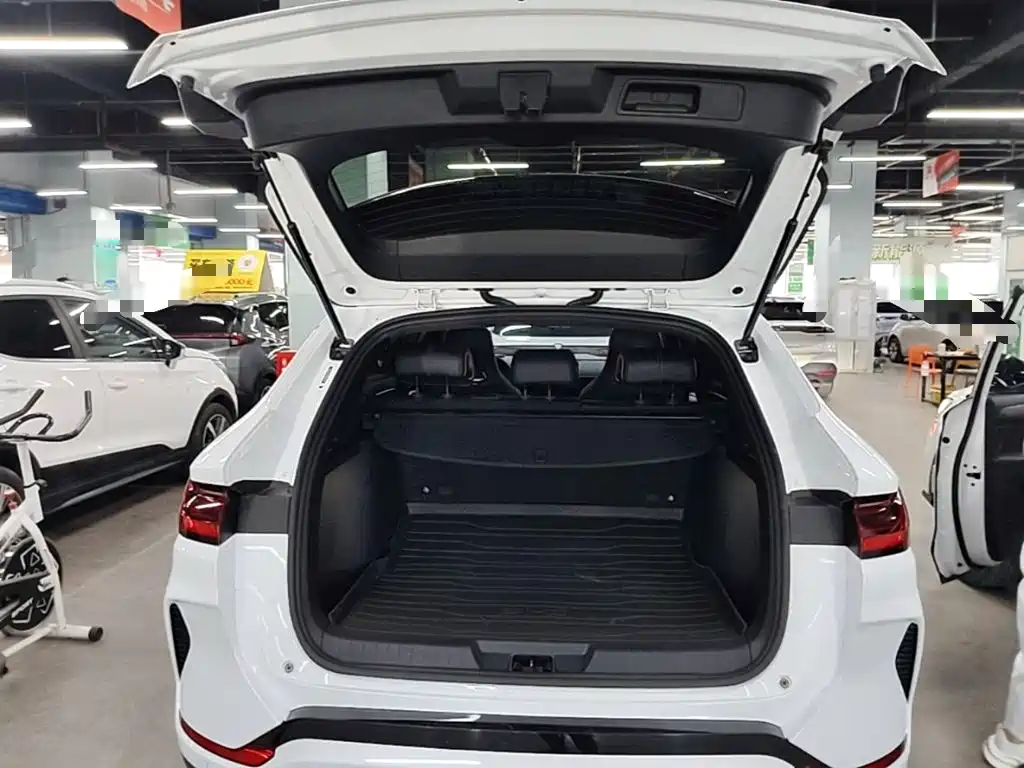 BYD PLUS New Energy — миниатюра 19