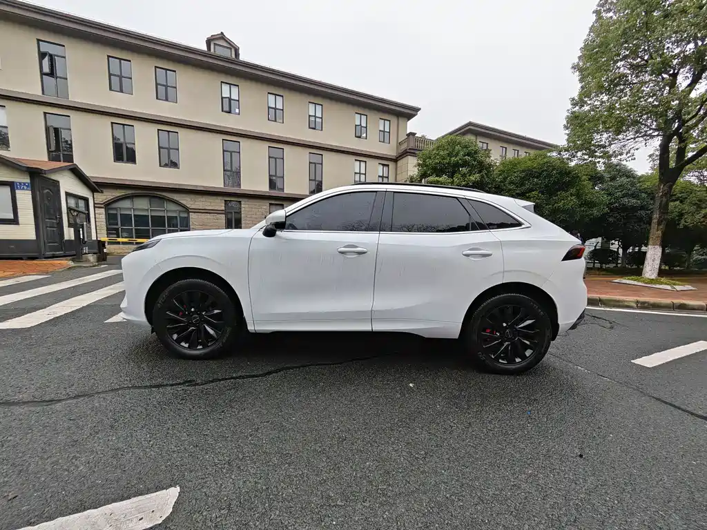 DONGFENG POPULAR T5 EVO