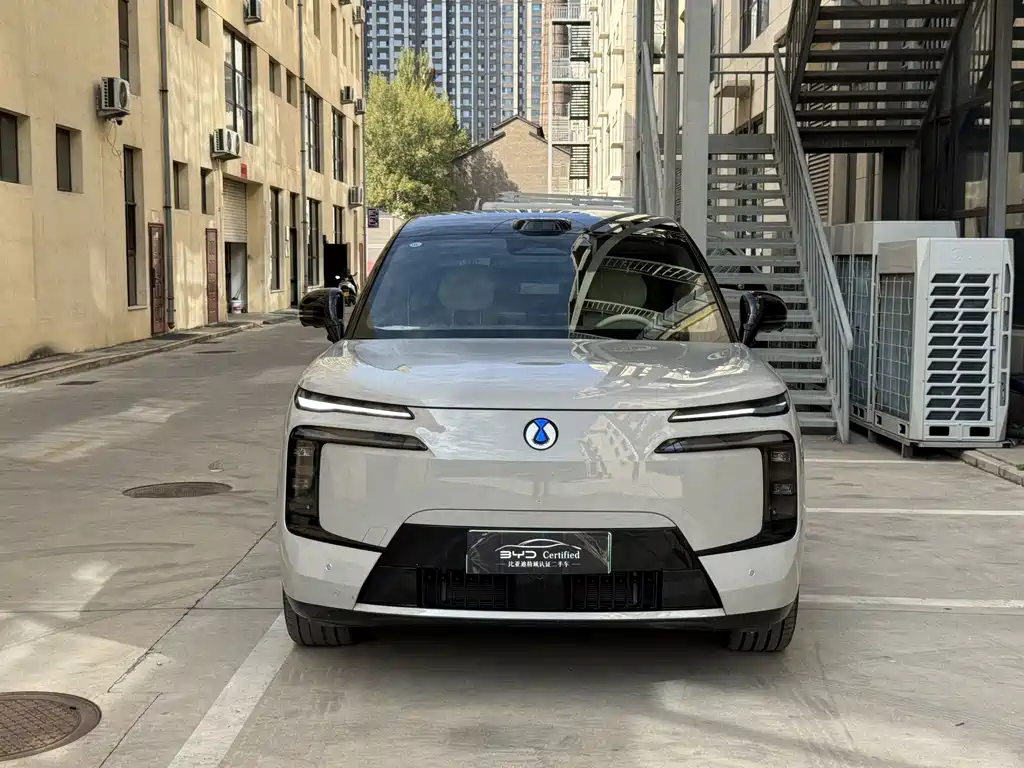 Denza Denza N8L — миниатюра 21