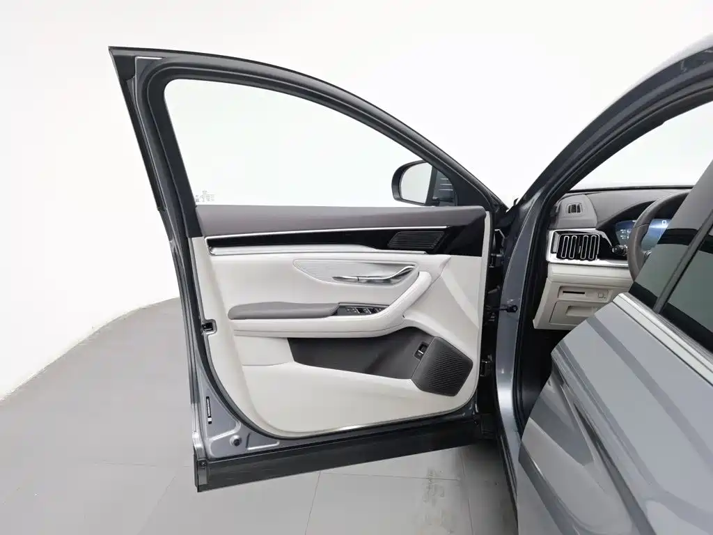 BYD PLUS New Energy — миниатюра 8