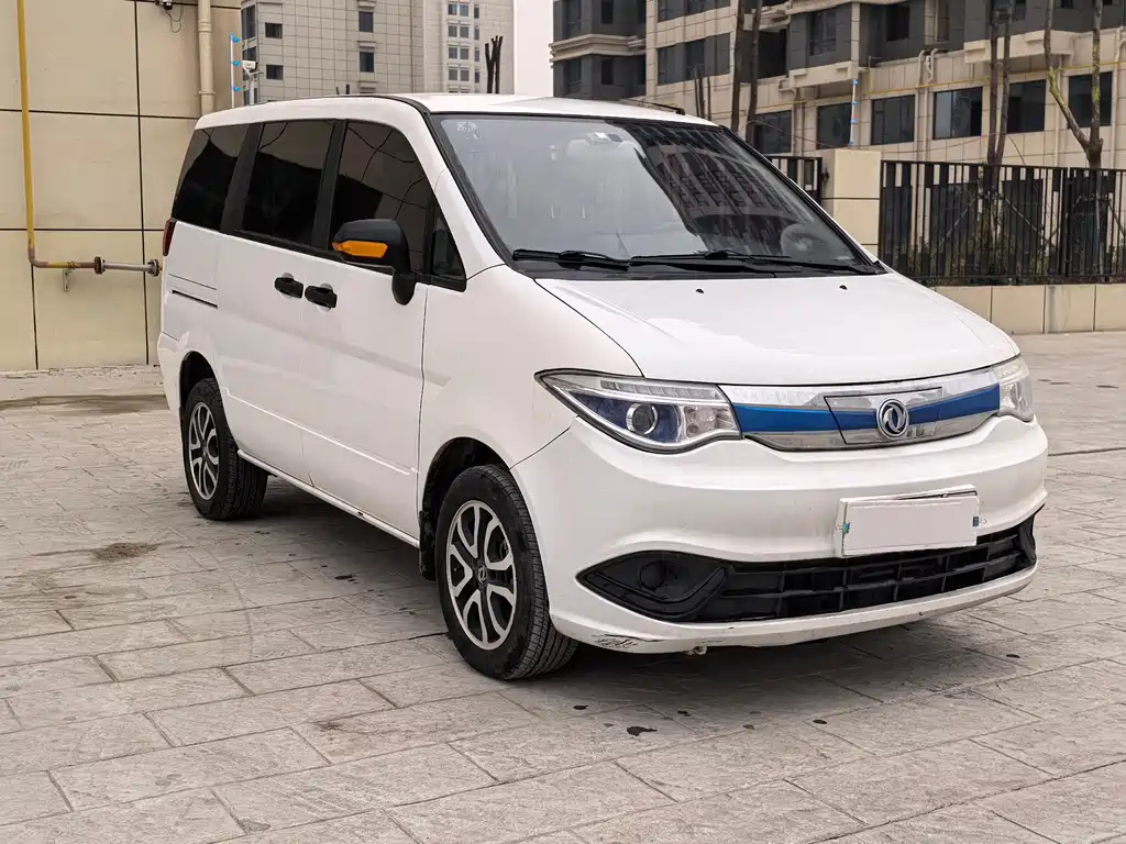 DONGFENG SHUAIKE NEW ENERGY