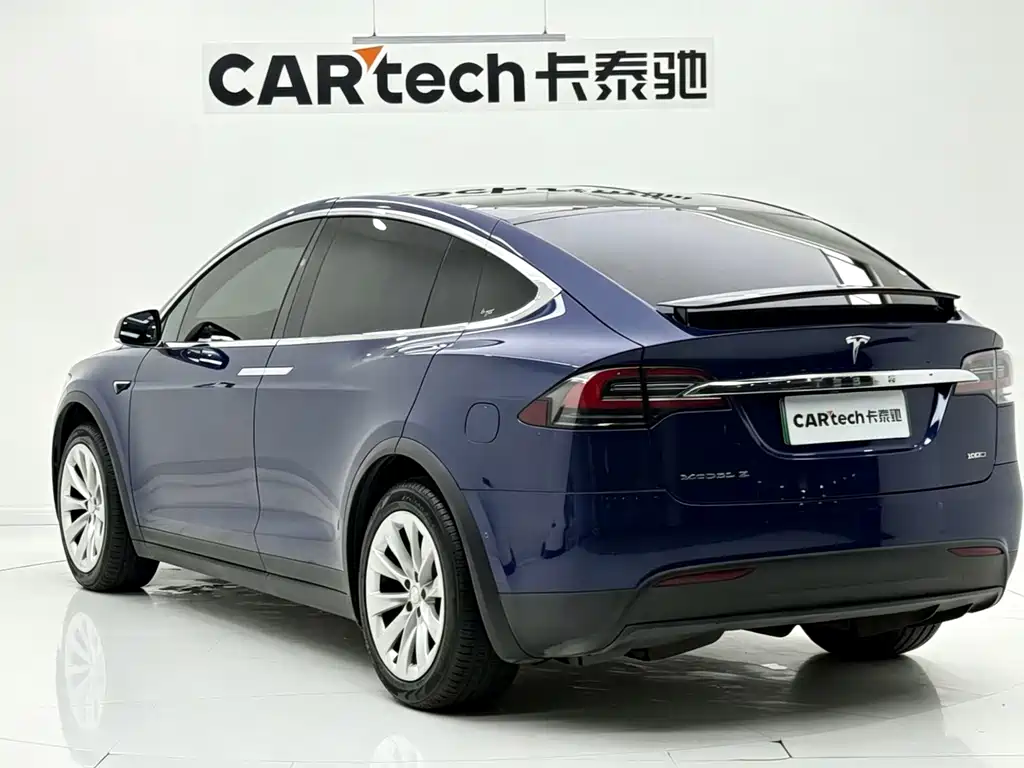 Tesla Model X 2017 Model X 100D
