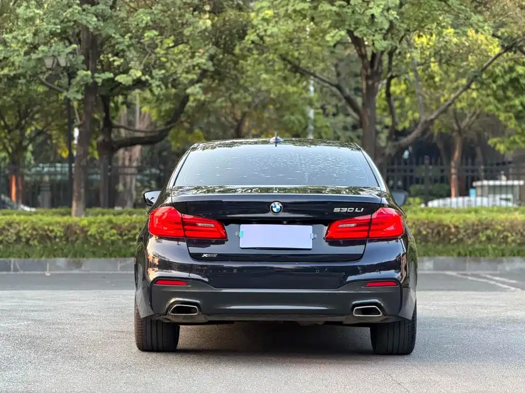 BMW 5 Series — миниатюра 5